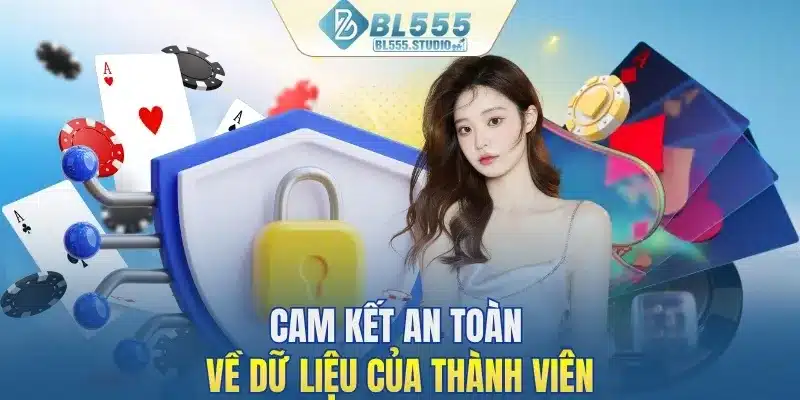 Cam kết an toàn về dữ liệu của thành viên