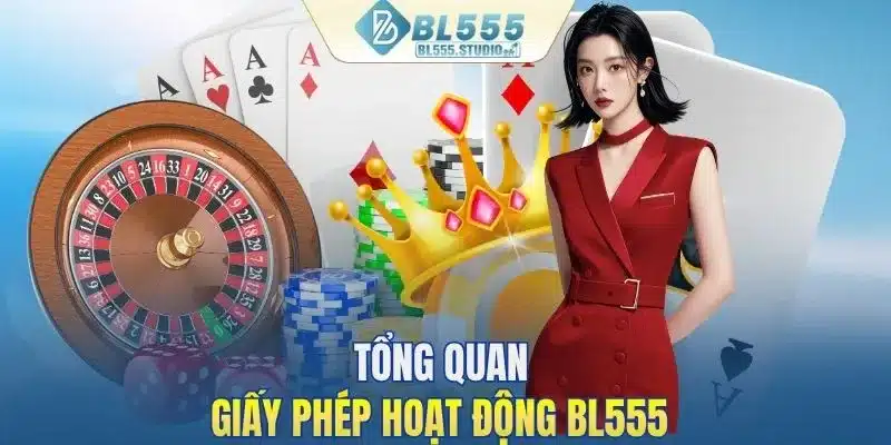 Tổng quan giấy phép hoạt động BL555