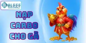 nạp carbo cho gà