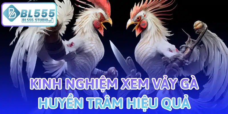 Kinh Nghiệm Xem Vảy Gà Huyền Trâm Hiệu Quả