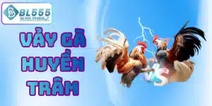 vảy gà huyền trâm