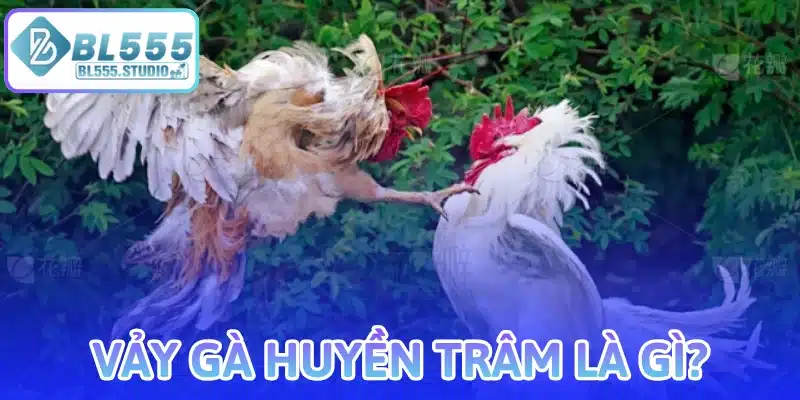 Vảy Gà Huyền Trâm Là Gì?