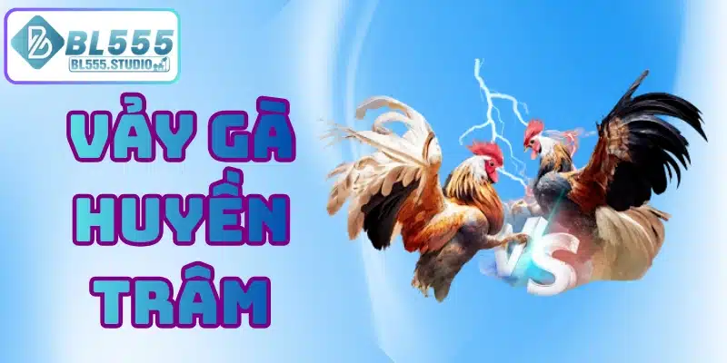vảy gà huyền trâm